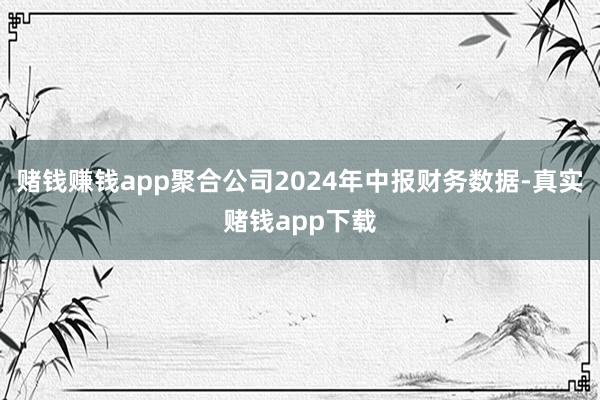 赌钱赚钱app聚合公司2024年中报财务数据-真实赌钱app下载