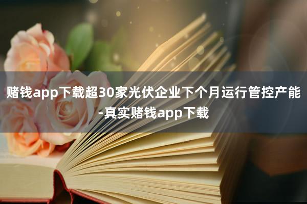 赌钱app下载超30家光伏企业下个月运行管控产能-真实赌钱app下载