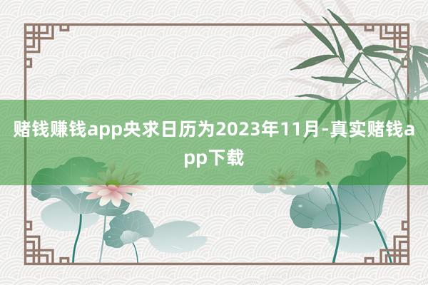 赌钱赚钱app央求日历为2023年11月-真实赌钱app下载