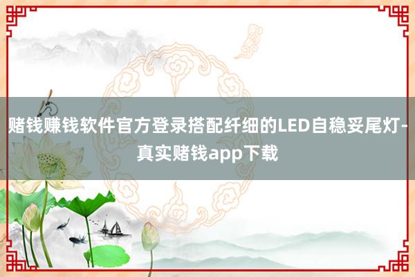 赌钱赚钱软件官方登录搭配纤细的LED自稳妥尾灯-真实赌钱app下载