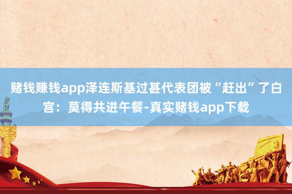 赌钱赚钱app泽连斯基过甚代表团被“赶出”了白宫：莫得共进午餐-真实赌钱app下载