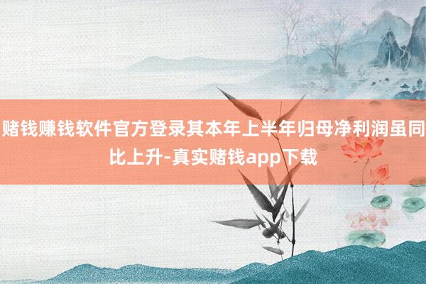 赌钱赚钱软件官方登录其本年上半年归母净利润虽同比上升-真实赌钱app下载